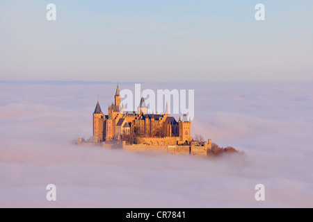 Burg Hohenzollern Burg im Morgennebel Licht, am frühen Morgen, Schwäbische Alb, Baden-Württemberg, Deutschland, Europa Stockfoto