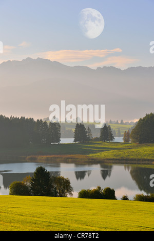 See Forggensee, morgen-Stimmung mit dem Mond, Allgäu, Bayern, Deutschland, Europa, komponieren Stockfoto