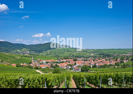 Stadtbild von Birkweiler, Pfälzer Wald Bergregion an der Rückseite, Birkweiler, Suedliche Weinstraße Bezirk Stockfoto