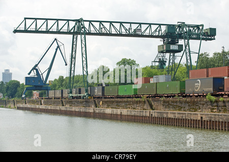 Eisenbahn-Container Fracht-terminal Niehl, Köln Stockfoto