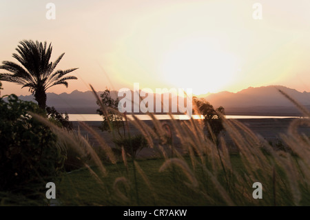 Ägypten, Blick auf Golfplatz bei Sonnenuntergang Stockfoto