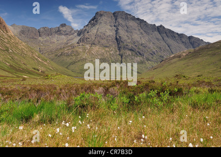 Baumwollpflanzen und Bla Bheinn, Sommer-Szene auf der Isle Of Skye, innere Hebriden, Schottland Stockfoto