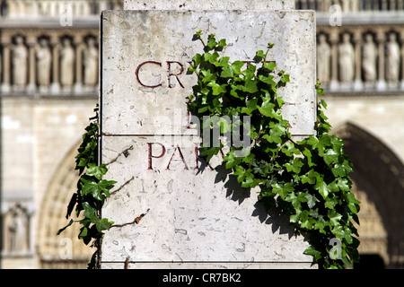 Krypta-Marker mit Efeu vor der Kathedrale Notre Dame, Paris. Stockfoto