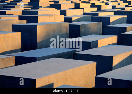 Betonsäulen des Holocaust-Denkmals bei Sonnenaufgang, Denkmal für die ermordeten Juden Europas, Architekt Peter Eisenman Stockfoto