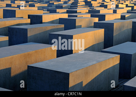 Betonsäulen des Holocaust-Denkmals bei Sonnenaufgang, Denkmal für die ermordeten Juden Europas, Architekt Peter Eisenman Stockfoto