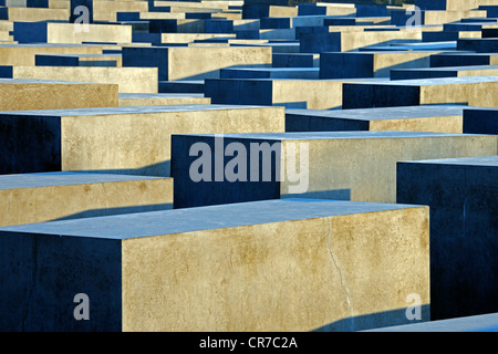 Betonsäulen des Holocaust-Denkmals bei Sonnenaufgang, Denkmal für die ermordeten Juden Europas, Architekt Peter Eisenman Stockfoto