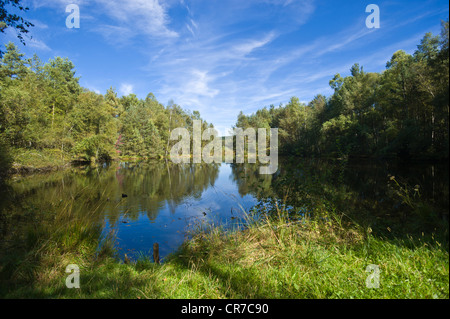 Quelle des Neckars, Schwenninger Moos Marsh, Natur-reserve, Villingen Schwarzwald, Baden-Württemberg Stockfoto