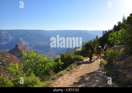 Bright Angel Trail, Grand Canyon, Arizona, USA Stockfoto