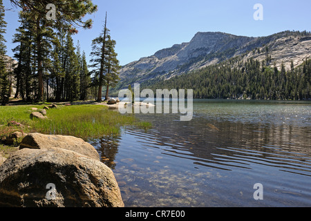 Am frühen Morgen am Tenaya See im Yosemite-Nationalpark, Kalifornien, USA Stockfoto