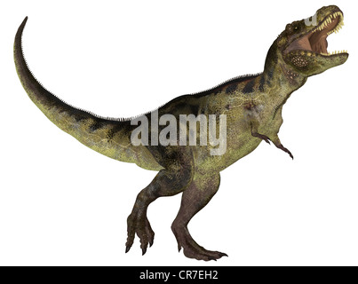 Abbildung von einem Tyrannosaurus (Dinosaurier-Arten) isoliert auf weißem Hintergrund Stockfoto