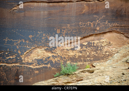 Ca. 3000 Jahre alte Felszeichnungen von Native Americans, Sand Island, in der Nähe von Bluff, Nord-Utah, USA Stockfoto