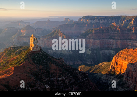 Point Imperial, Mount Hayden in der Morgen Licht, Grand Canyon North Rim, Arizona, USA Stockfoto