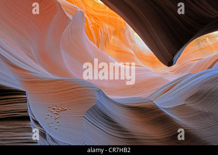 Rock-Formen, Farben und Texturen in den Antelope Slot Canyon, Arizona, USA, Amerika Stockfoto