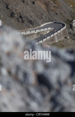 Radfahrer nähert sich eine Haarnadelkurve, Spitzkehre auf der Stilfser Joch Straße in Alto Adige, Italien Stockfoto