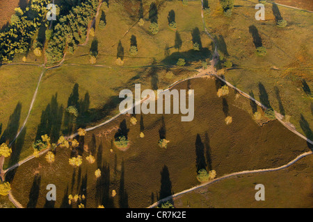 Luftaufnahme, Westrup Heide im Herbst, Recklinghausen, Ruhrgebiet, Nordrhein-Westfalen, Deutschland, Europa Stockfoto
