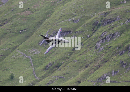 Eine Hawk T1, gemalt in speziellen Bomber Befehl Livree des 95 Jahrestages der RAF 100 Sqn Stockfoto