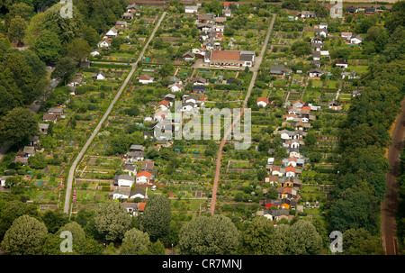 Luftaufnahme, Kleingärten in Adenauerstrasse Straße, Gladbeck, Ruhrgebiet, Nordrhein-Westfalen, Deutschland, Europa Stockfoto