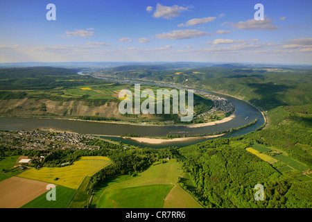 Luftbild, Schleife des Rheins in der Nähe von Oberspey, Niedrigwasser, Kamp-Bornhofen, Rheinland-Pfalz, Deutschland, Europa Stockfoto