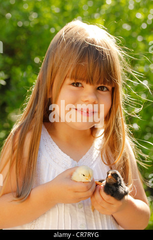 Kleine Mädchen und Küken Stockfoto