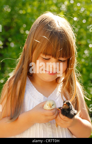 Kleine Mädchen und Küken Stockfoto