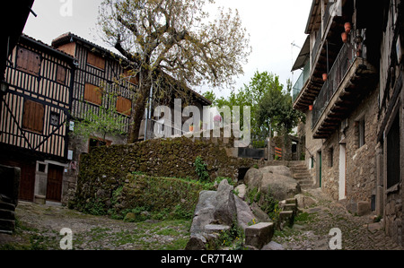 Quadratische Szene, La Alberca, Salamanca Provinz, Kastilien-León, Spanien. Stockfoto