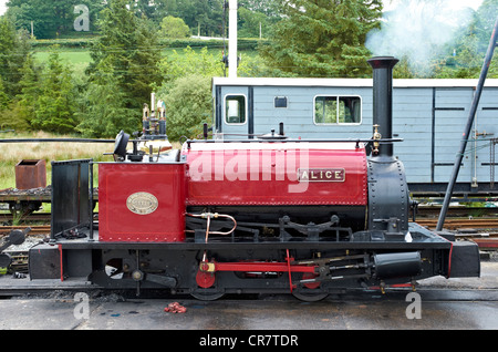 Bala Lake Railway - Schuppen mit Llanuwchllyn mit Quarry Hunslet Alice für die Arbeit vorbereitet. Stockfoto