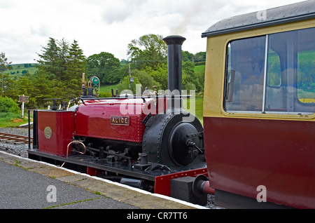 Bala Lake Railway - Llanuwchllyn Station mit Quarry Hunslet "Alice" in einem Zug. Stockfoto