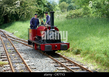 Bala Lake Railway Motor läuft rund um die Bahn. Loco Alice ist ein original Quarry Hunslet. Stockfoto