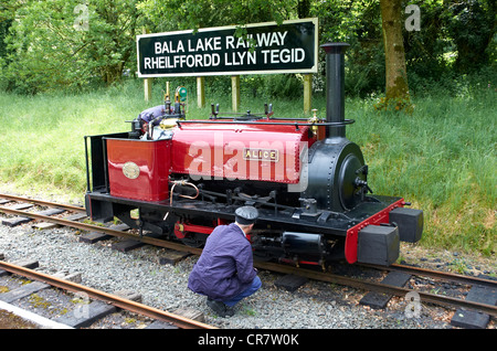 Bala Lake Railway - prüft Feuerwehrmann, Feuer und Wasser auf einem Steinbruch Hunslet Engine während Fahrt Lager Ölen. Stockfoto