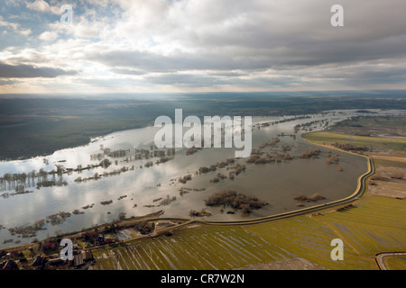 Luftaufnahme, Amt Neuhaus, Hitzacker, Elbe River, Damm, Deich, Elbe Valley Nature Park, winterliche Überschwemmungen Stockfoto