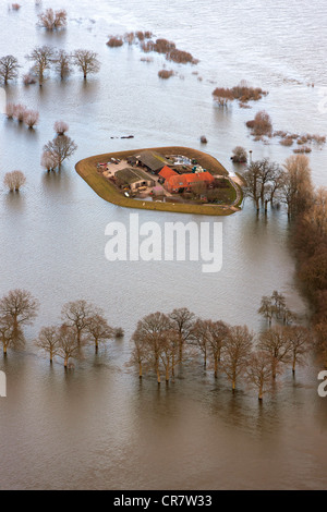 Luftaufnahme, abgeschnitten Bauernhof aus dem umliegenden Land durch Hochwasser, Bleckede, Elbe Elbe Valley Nature Park, Winter Flussüberschwemmungen Stockfoto