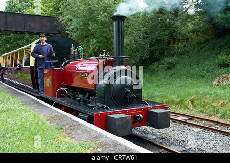 Bala Lake Railway Zug Haltestelle Bala (Penybont) mit Fahrer wartet sofort Form die Garde. Stockfoto