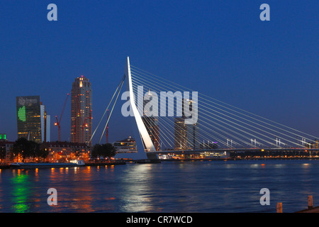 Erasmusbrücke Brücke und Kop van Zuid-Viertel auf der Maas oder Fluss Maas, Rotterdam, Holland, Niederlande, Europa Stockfoto