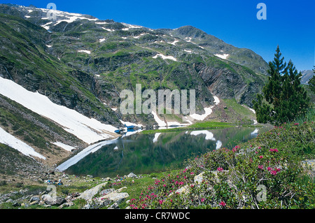 Frankreich, Haute Garonne, Bagneres de Luchon, Grüner See, Lis Tal Stockfoto