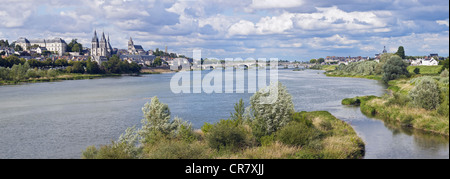 Frankreich, Loir et Cher, Loire-Tal als Wolrd Erbe der UNESCO, Blois, Loire Fluß aufgeführt Stockfoto