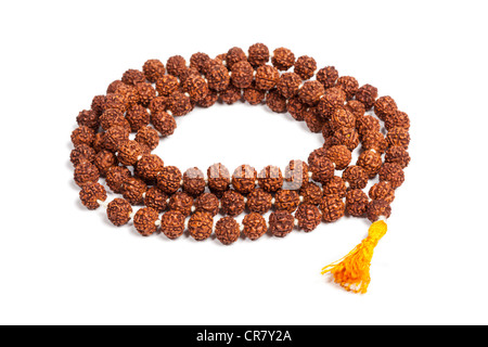 Buddhistischen oder hinduistischen Japa Mala (Gebetskette) machte der Rudraksha isoliert Stockfoto