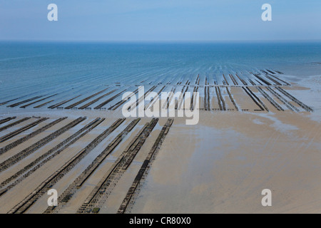 Frankreich, Calvados, Parc Naturel Regional des Marais du Cotentin et du Bessin (natürlichen regionalen Park von Marais du Cotentin et du Stockfoto