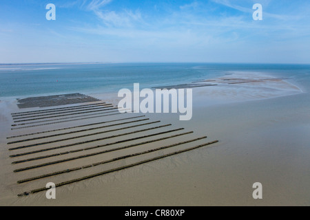 Frankreich, Region Basse-Normandie, Calvados (14), Grandcamp-Maisy Parc Naturel Régional des Marais du Cotentin et du Bessin, Ansatz Stockfoto