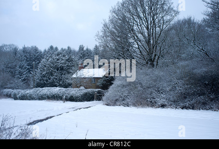 Berghütte auf Ranmore im Winter. Schnee bedeckt, gemeinsame und Wald Stockfoto