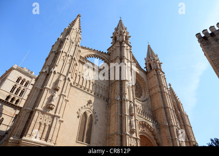 Spanien, Balearen, Mallorca, Palma De Mallorca, Kathedrale (La Seu) Stockfoto