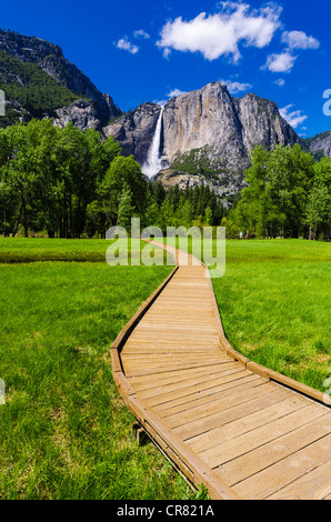 Boardwalk durch Wiese unter Yosemite Falls, Yosemite-Nationalpark, Kalifornien USA Stockfoto