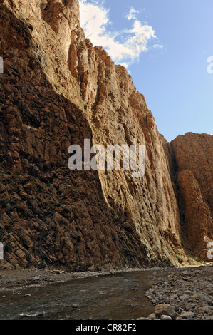 Gorge du Todra, Todra Schlucht, Atlas-Gebirge in der Nähe von Tinghir, Südmarokko, Marokko, Maghreb, Nordafrika, Afrika Stockfoto