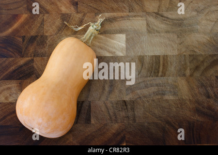 Bio Kürbis frisch gepflückt aus dem Garten auf massivem Holz Schneidebrett Stockfoto