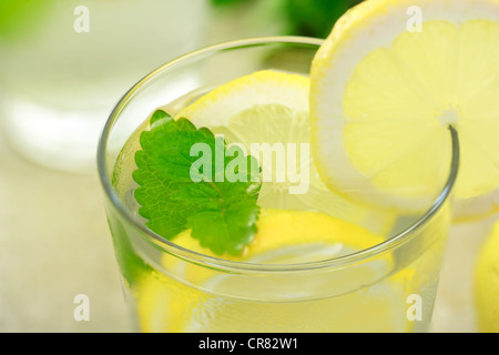 Erfrischungsgetränk Zitrone Stockfoto