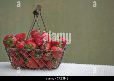 Reife rote Erdbeeren in einen Drahtkorb sitzt auf einer weißen Tischdecke vor grünem Hintergrund Stockfoto