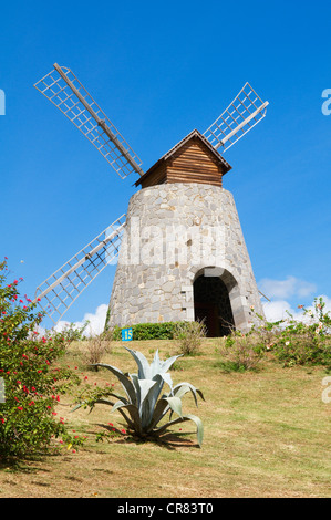 France, Martinique (Französische Antillen), Sainte Luce, Rhum Fabrik Trois Rivieres Stockfoto