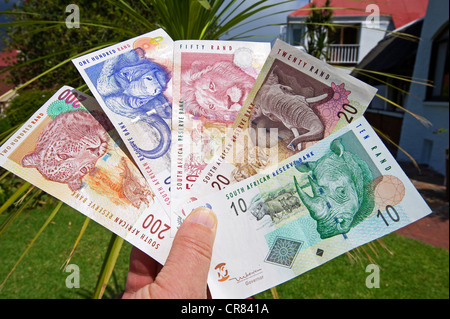 Südafrika, der Rand ist die lokale Währung, Banknoten mit den Big Five auf sie, die fünf großen Tiere sich in der Stockfoto