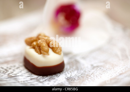 Schokolade auf einem Tablett, hinter einer Orchidee Stockfoto