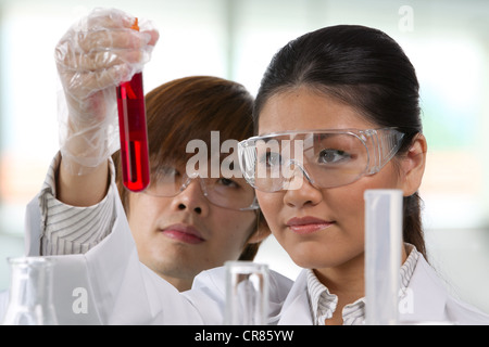 Wissenschaftliche Forscher in einer flüssigen Lösung suchen. Stockfoto