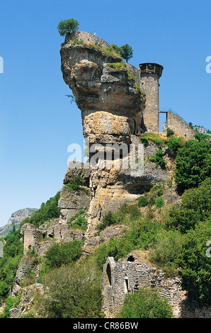 Frankreich, Aveyron, Riviere Sur Tarn, Peyrelade Schloss Stockfoto